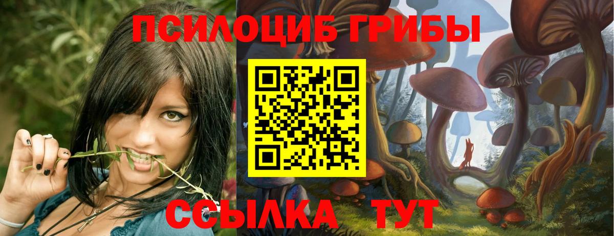 Галлюциногенные грибы MAGIC MUSHROOMS Донецк